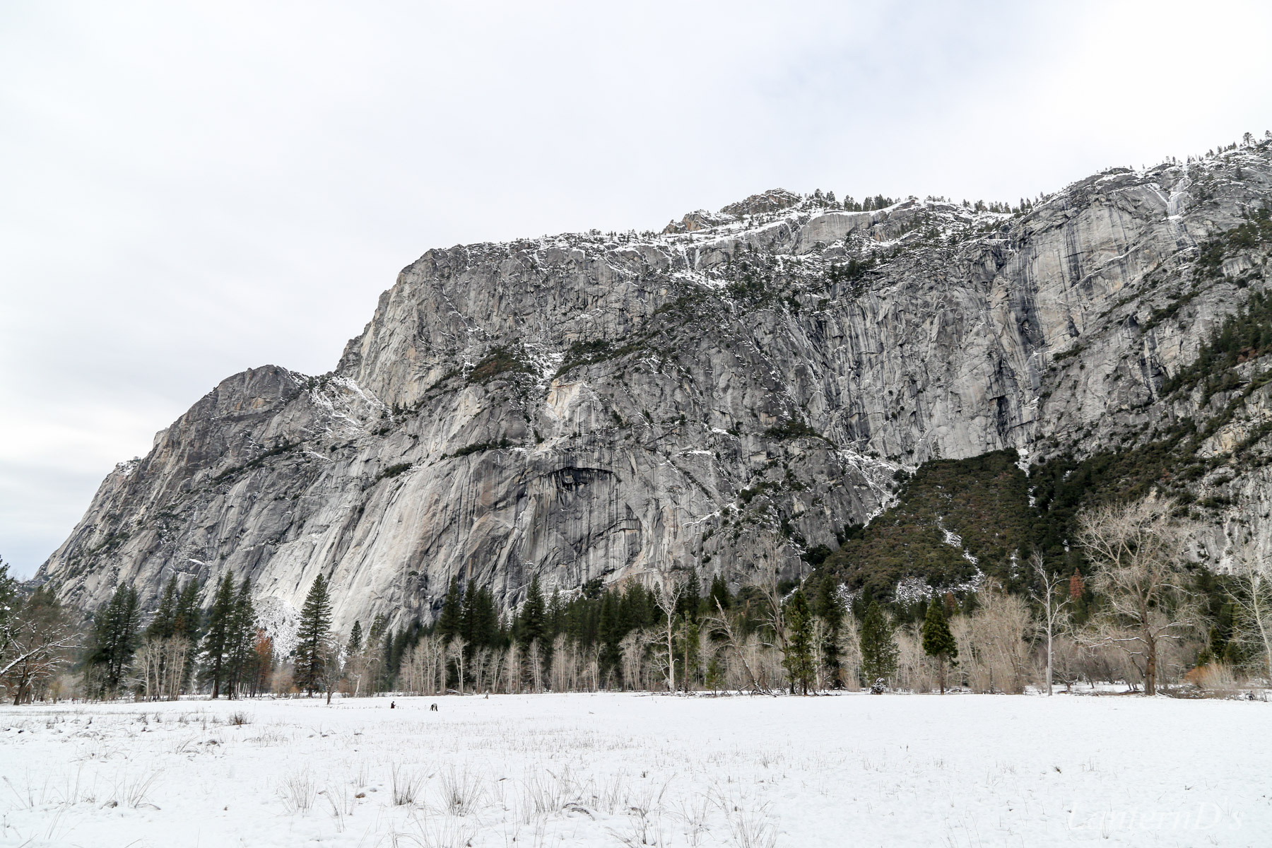 Yosemite花岗岩